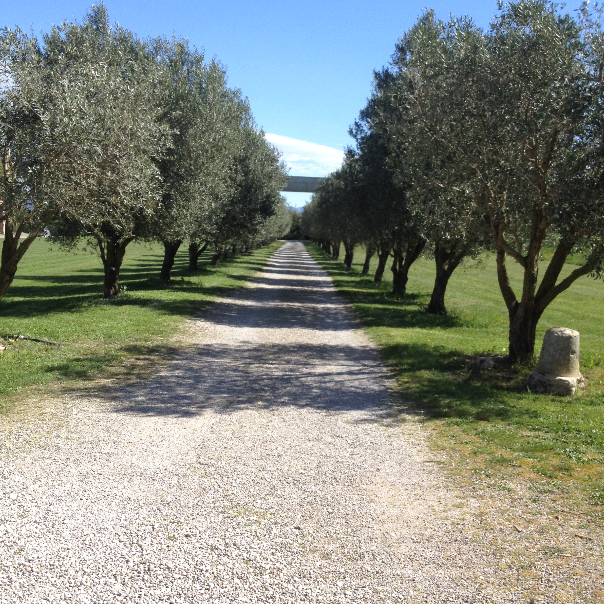 domaine de chateau bas